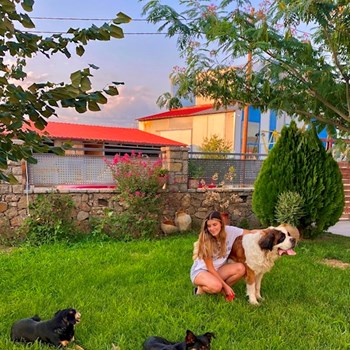  thumbnail petsitter Iași sau bonă pentru animale pentru câini pisici 