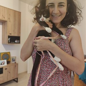 petsitter Iași or Pet nanny for Dogs Cats 