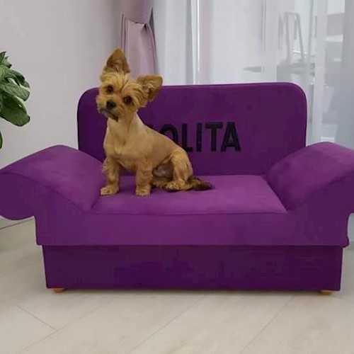 profileCățelul răsfățat - Canapele căței Accesorii animale WholeCountry