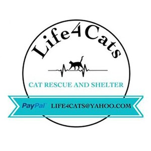profileLife4Cats Rescue Kisállat menhely WholeCountry