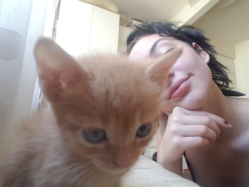 enghes pet sitter cluj napoca babysitting pets cazare plimb animale