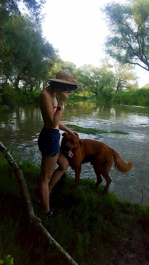 enghes pet sitter cluj napoca babysitting pets cazare plimb animale