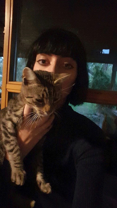enghes pet sitter cluj napoca babysitting pets cazare plimb animale