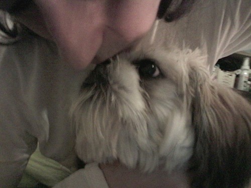 Corina- petsitter București, Voluntari, Pipera  or Pet nanny for dogs cats