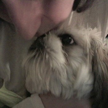 thumbnail petsitter București, Voluntari, Pipera  or pet nanny for dogs cats