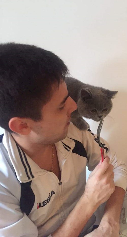 George- petsitter Florești or Pet nanny for cats 