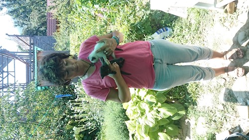 beatrice- petsitter București sau Bonă pentru animale pentru