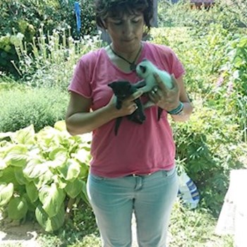 thumbnail petsitter București sau bonă pentru animale pentru