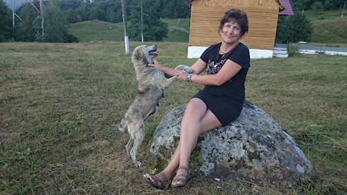 beatrice- petsitter București sau Bonă pentru animale pentru