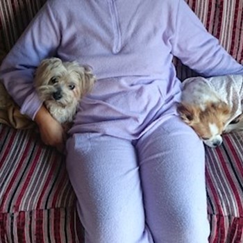 thumbnail petsitter București sau bonă pentru animale pentru