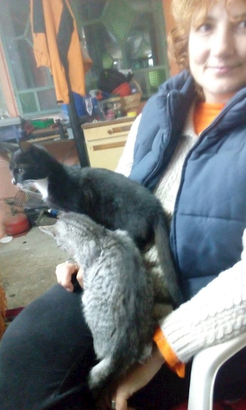 beatrice- petsitter București sau Bonă pentru animale pentru