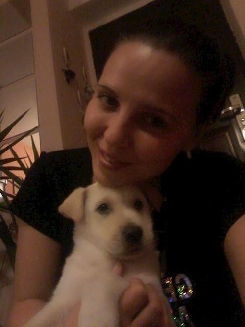 Diana- petsitter Domnești or Pet nanny for dogs cats