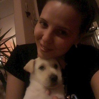thumbnail petsitter Domnești or pet nanny for dogs cats