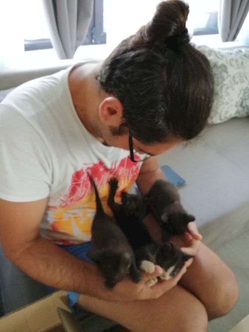 Diana- petsitter Domnești or Pet nanny for dogs cats