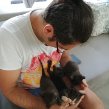 thumbnail petsitter Domnești or pet nanny for dogs cats