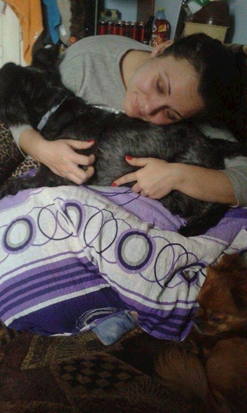 Andrada- petsitter Cluj-Napoca vagy Állat szitter a kutyák cicák