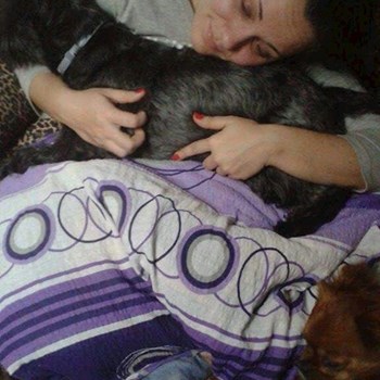 thumbnail petsitter Cluj-Napoca vagy Állat szitter a kutyák cicák