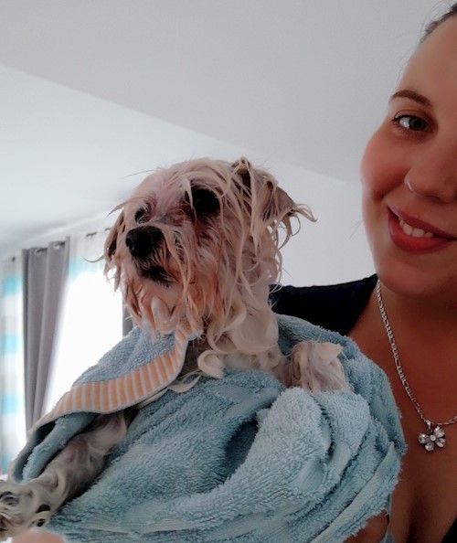 Diana- petsitter Domnești or Pet nanny for dogs cats