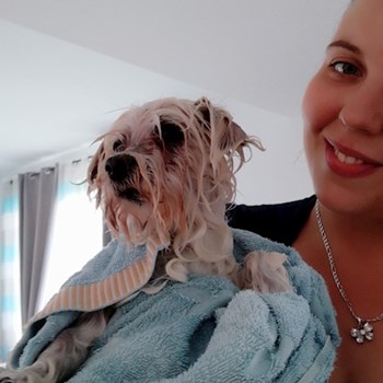 thumbnail petsitter Domnești or pet nanny for dogs cats