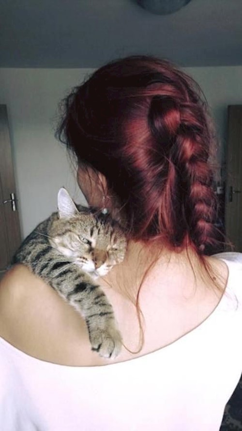 Alina- petsitter București or Pet nanny for dogs cats 