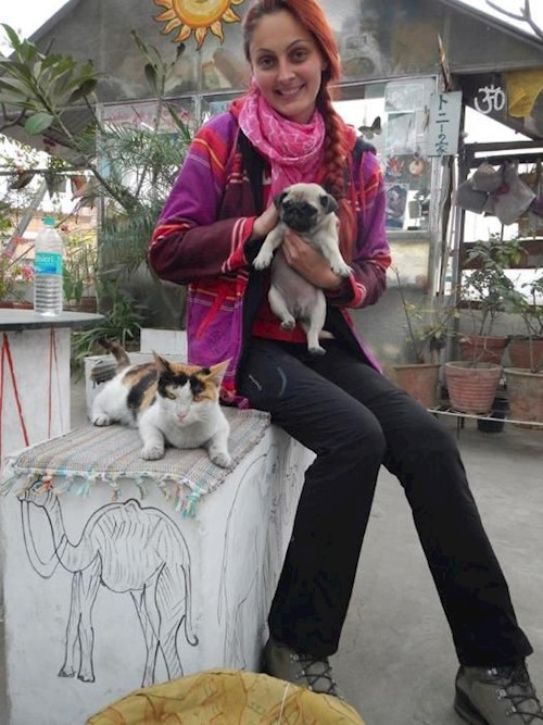 Alina- petsitter Otopeni or Pet nanny for dogs cats