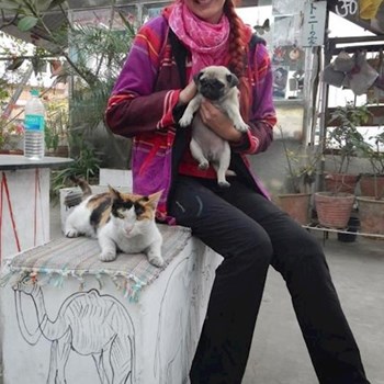 thumbnail petsitter Otopeni or pet nanny for dogs cats