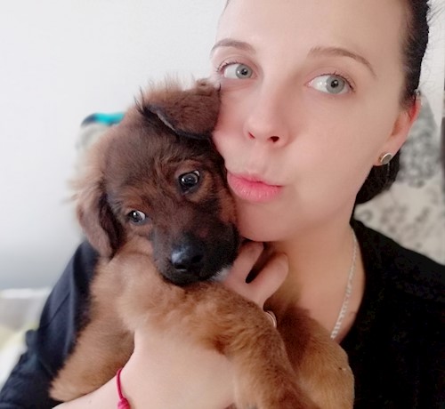Diana- petsitter Domnești or Pet nanny for dogs cats