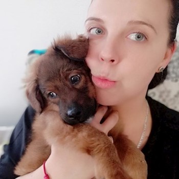 thumbnail petsitter Domnești or pet nanny for dogs cats