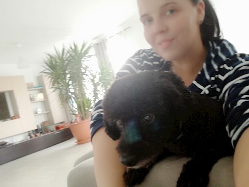 Diana- petsitter Domnești or Pet nanny for dogs cats