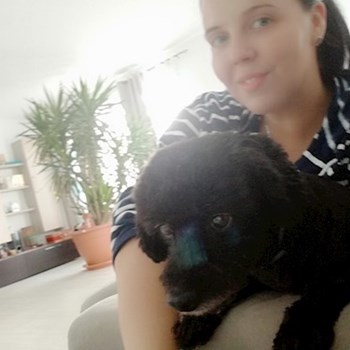 thumbnail petsitter Domnești or pet nanny for dogs cats