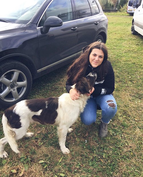 Diana- petsitter Iași or Pet nanny for dogs cats