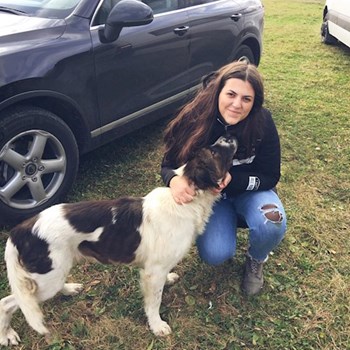 thumbnail petsitter Iași or pet nanny for dogs cats