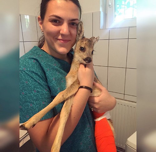 Diana- petsitter Iași or Pet nanny for dogs cats