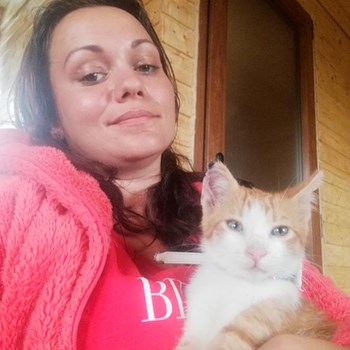 thumbnail petsitter Cluj-Napoca vagy Állat szitter a kutyák cicák