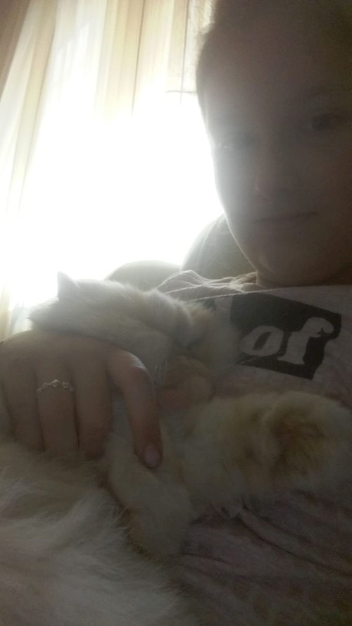 Andreea- petsitter Cluj-Napoca vagy Állat szitter a