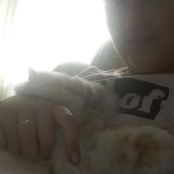 thumbnail petsitter Cluj-Napoca vagy Állat szitter a