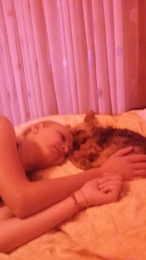 Andreea- petsitter Cluj-Napoca vagy Állat szitter a