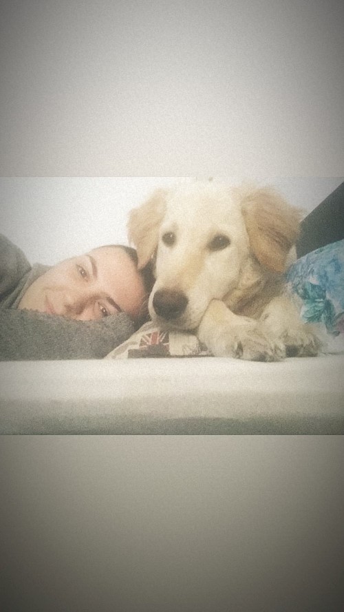 Diana- petsitter Iași or Pet nanny for dogs cats