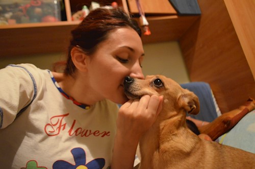 Despina-Gabriela- petsitter București or Pet nanny for dogs cats