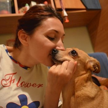 thumbnail petsitter București or pet nanny for dogs cats