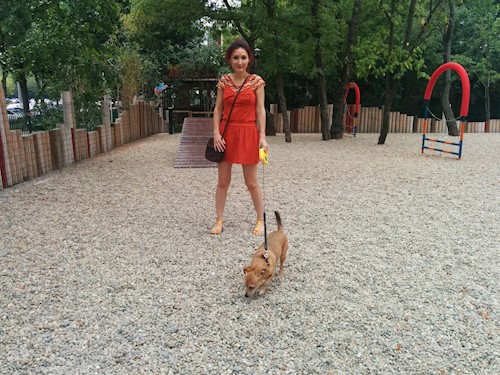 Despina-Gabriela- petsitter București or Pet nanny for dogs cats