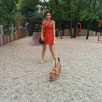 thumbnail petsitter București or pet nanny for dogs cats