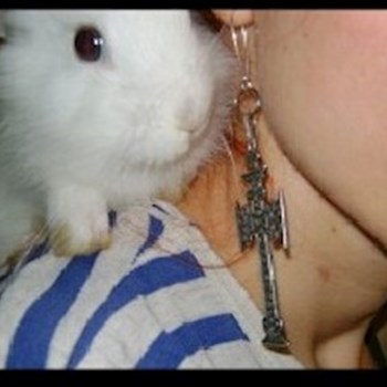 thumbnail petsitter București or pet nanny for dogs cats