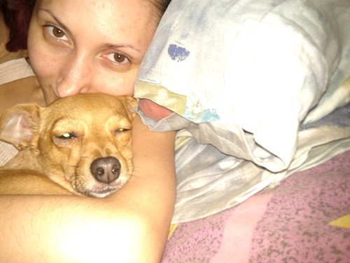 Despina-Gabriela- petsitter București or Pet nanny for dogs cats