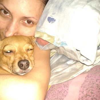 thumbnail petsitter București or pet nanny for dogs cats