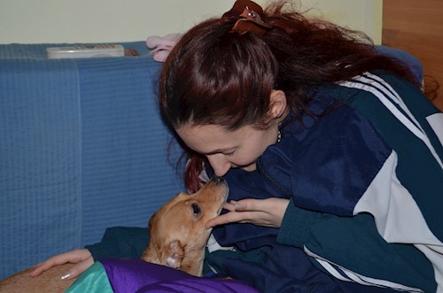 Despina-Gabriela- petsitter București or Pet nanny for dogs cats