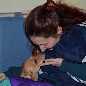 thumbnail petsitter București or pet nanny for dogs cats