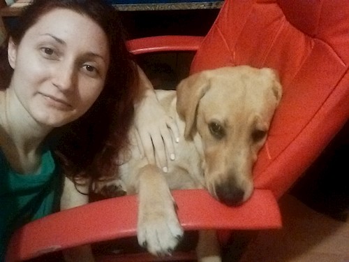Despina-Gabriela- petsitter București or Pet nanny for dogs cats