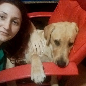 thumbnail petsitter București or pet nanny for dogs cats