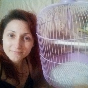 thumbnail petsitter București or pet nanny for dogs cats